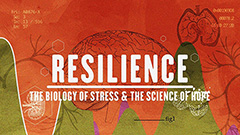 resilience banner